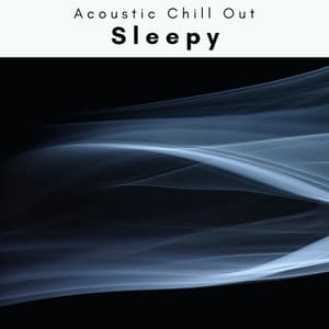 4 Sleepy - Acoustic Chill Out