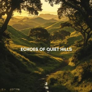 Echoes of Quiet Hills - Study Music & Sounds