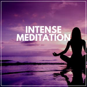 Intense Meditation - Tranquility Spree