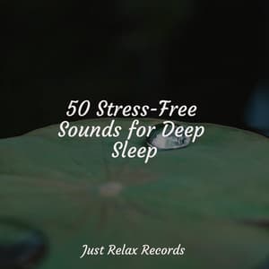 50 Stress-Free Sounds for Deep Sleep - Spa