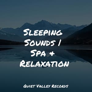 Sleeping Sounds | Spa & Relaxation - Deep Relaxation Meditation Academy