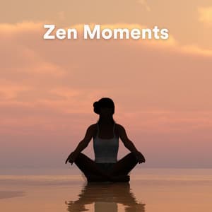 Zen Moments - Some Music to Unwind