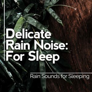 Delicate Rain Noise: For Sleep - Rain Sounds for Sleeping
