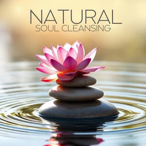 Natural Soul Cleansing: Negativity Wash, Spa Relaxation, Massage and Wellbeing - Wellness Spa Oasis