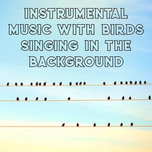 Instrumental Music with Birds Singing in the Background, Calm & Tranquility - Bird Song Group