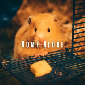 Home Alone: Pets' Chill Music Comfort - Podbe