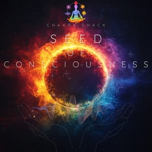 Seed of Consciousness: Root Chakra Potential - Chakra Shack