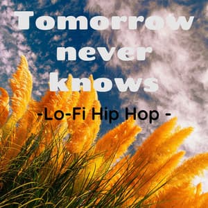 Tomorrow never knows-Lo -Fi Hip Hop - - LO-FI CHILL