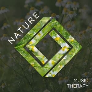 Nature Music Therapy: Spring Sounds to Soothe the Soul, Body and Mind. Deeply Relaxing Natural Melodies, Healing Contact with Nature - Zen Natural Sounds