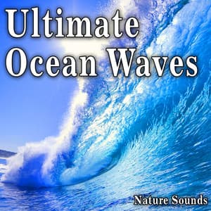 Ultimate Ocean Waves - Nature Soundscape
