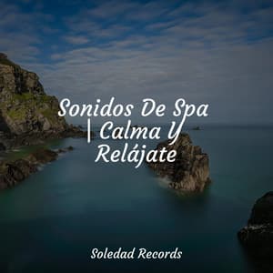 Sonidos De Spa | Calma Y Relájate - Natureza Musica Bem-Estar Academia
