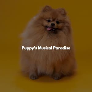 Puppy's Musical Paradise - Calm Instrumental Coffee House