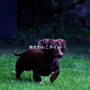 幸せわんこタイム - Frühstücksmusik