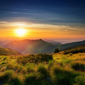 Paisajes Sonoros De Orquesta: Armonías Para Todos - Bertie Lambert