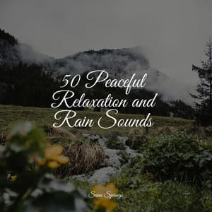 50 Peaceful Relaxation and Rain Sounds - Kinderlieder Megastars