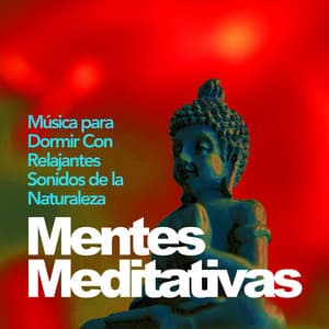 Mentes Meditativas - Música para Dormir Con Relajantes Sonidos de la Naturaleza