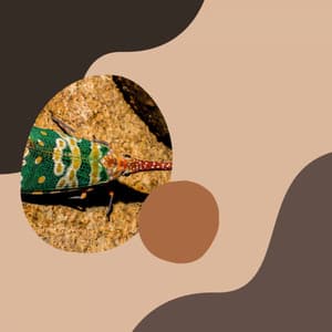 Jazz with Strings - Music for Rejuvenating Seasons - Office Music Playlist