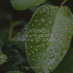 50 Melodías Relajantes Para Aliviar El Estrés - Canciones Para Niños