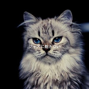 ジャズに飽きない - Playliste Travail à Domicile