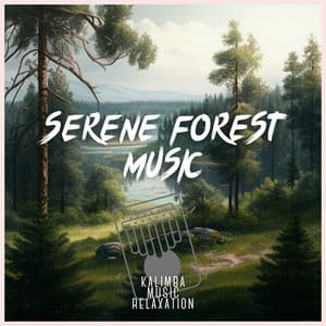 Serene Forest Music: Soothing Kalimba Melody - Kalimba Music Relaxation