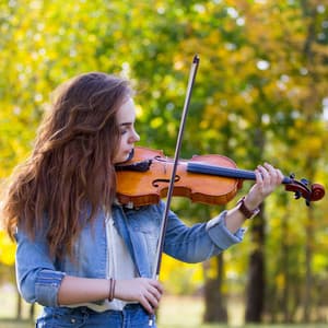 Zen Garden Harmony: Music For Serene Meditation - Hypnotherapy