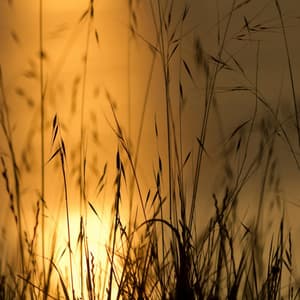 365 Balance: Channeling You - Yoga Music