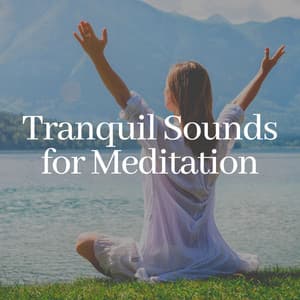 Tranquil Sounds for Meditation - Relaxing Asian Spa Music