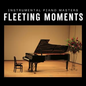 Fleeting Moments: Piano Music for Relaxation - Instrumental Piano Masters