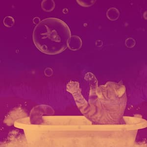 Music for Lush Kittens - Musica para Gatos