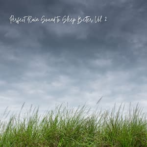 Perfect Rain Sound to Sleep Better Vol. 2 - Sleep Alpha Waves