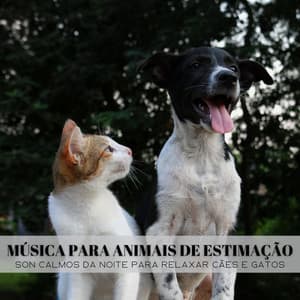 Música Para Animais De Estimação: Son Calmos Da Noite Para Relaxar Cães E Gatos - Dulces Sueños