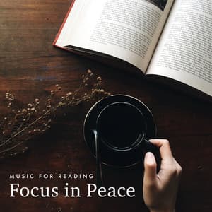 Focus in Peace - Music for Reading
