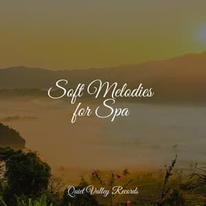 Soft Melodies for Spa - Guided Meditation Music Zone