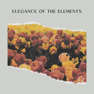 Elegance of the Elements - Relaxing Radiance