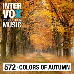 Colors of Autumn - Alan Jay Reed