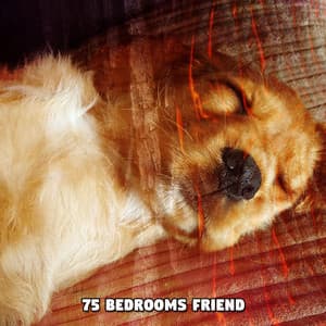75 Bedrooms Friend - Sleep Help