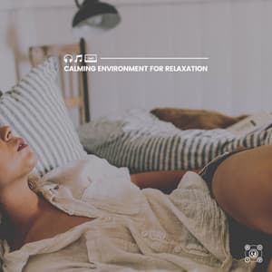 Calming Environment for Relaxation - Instrumental