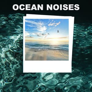Ocean Noises - Deep Sleep Ocean Sounds