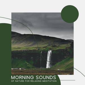 Morning Sounds of Nature for Relaxing Meditation: New Age Music for Peacefulness and Wellness - Serenity Nature Sounds Academy