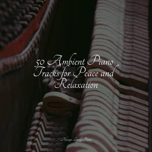 Tranquil Piano Songs for the Soul - Piano Relajante
