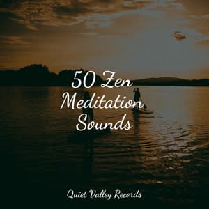 50 Zen Meditation Sounds - FX & Effects