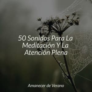 50 Sonidos Para La Meditación Y La Atención Plena - Canción de Cuna