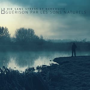 La vie sans stress et nervosité: Guérison par les sons naturels - Musique Relaxante 101