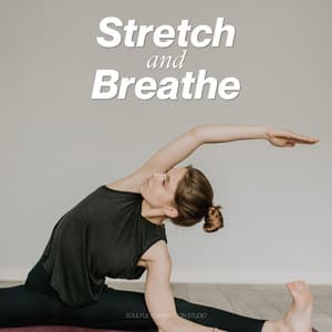 Stretch and Breathe - Hatha Yoga Maestro