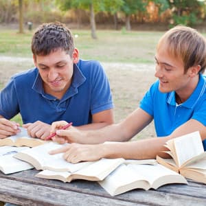 Nature's Study Symphony: Ambient Birds and Nature for Cognitive Absorption - Birds In The Forest