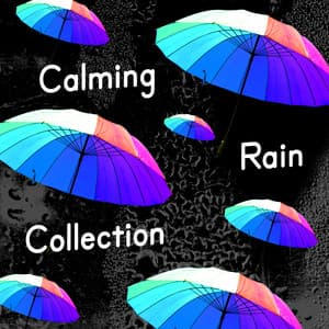 Calming Rain Collection - Relaxing Nature Ambience