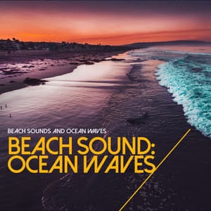 Beach Sound: Ocean Waves - Beach Sounds and Ocean Waves