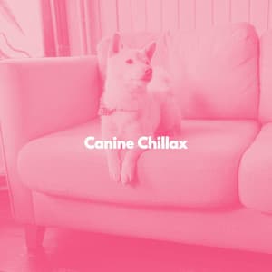 Canine Chillax - Cooking Music Fun