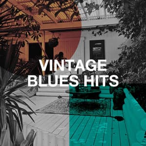 Vintage Blues Hits - The Blues Singers