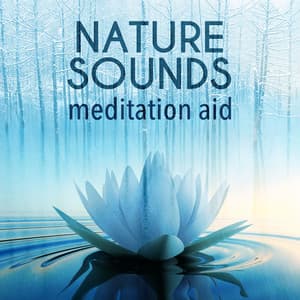 Nature Sounds Meditation Aid - Nature Sounds Meditation